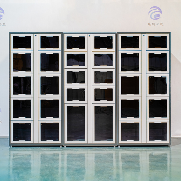 智能儲(chǔ)物/收發(fā)柜